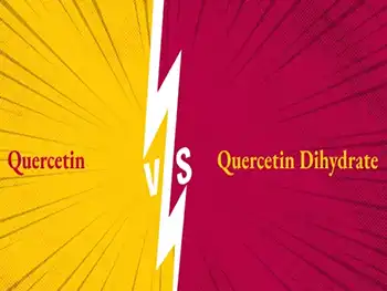 Quercetin Dihydrate vs. Quercetin: What’s the Difference?